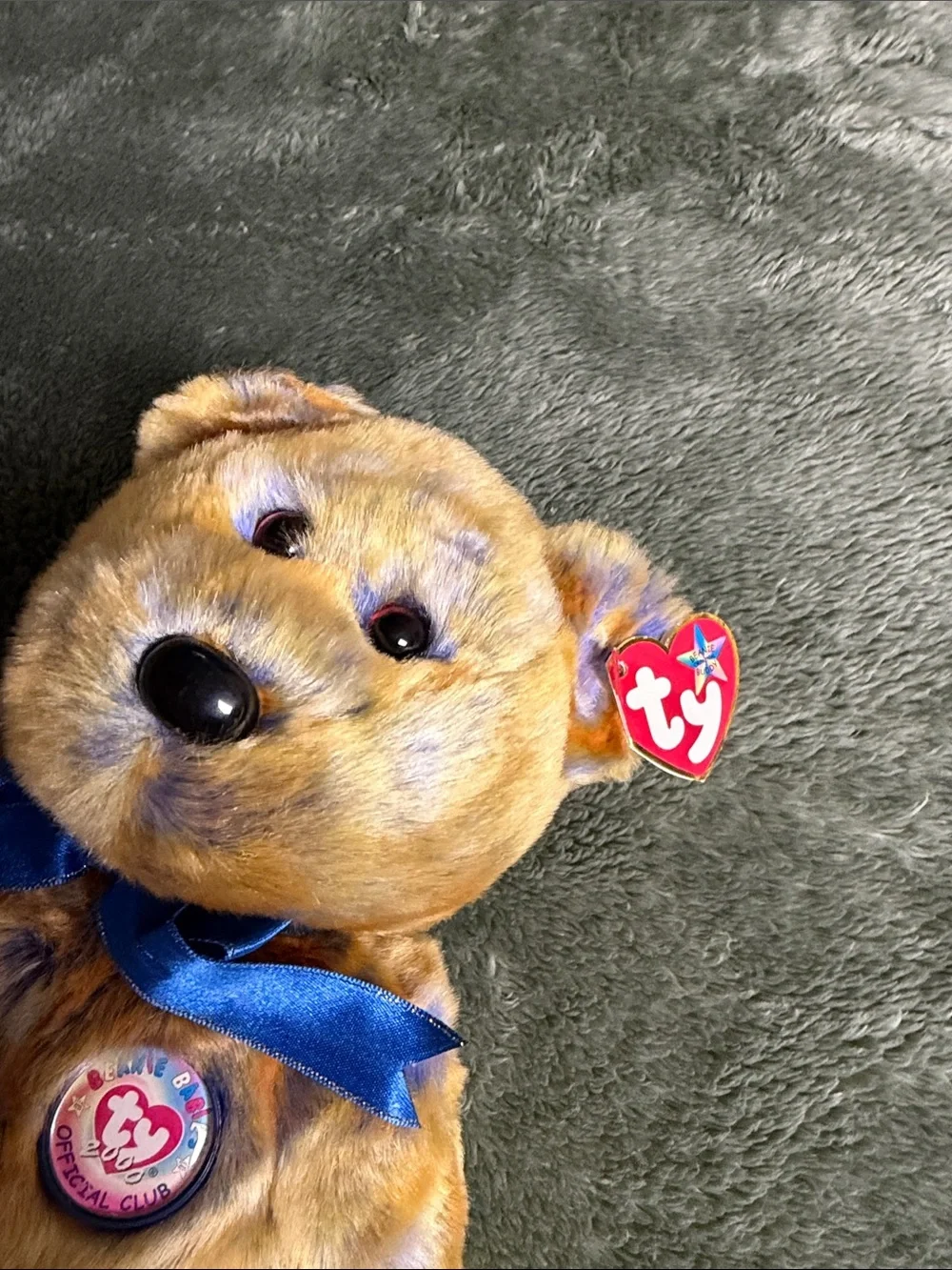 Large TY Beanie Bear Plush Clubby III